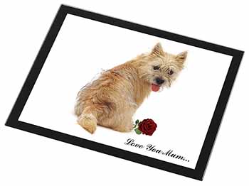 Cairn Terrier+Rose 