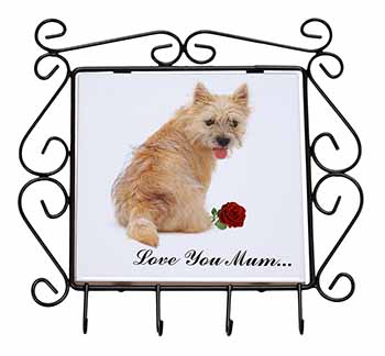 Cairn Terrier+Rose 