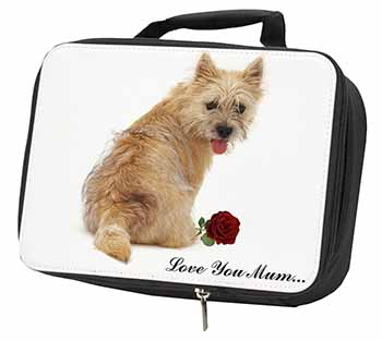 Cairn Terrier+Rose 