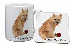 Cairn Terrier+Rose 