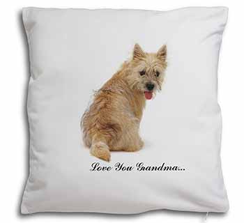 Cairn Terrier 