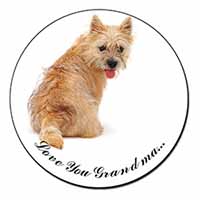 Cairn Terrier 