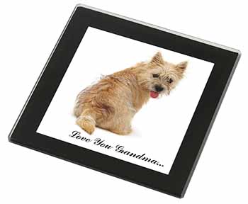 Cairn Terrier 