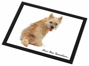 Cairn Terrier 