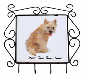 Cairn Terrier 