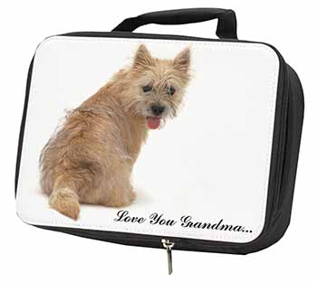 Cairn Terrier 