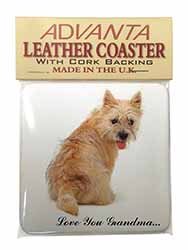 Cairn Terrier 