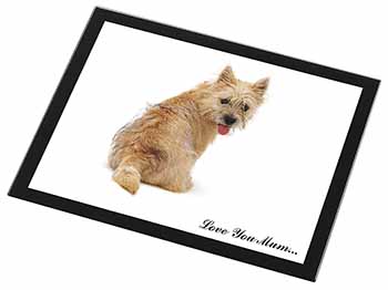 Cairn Terrier Dog 