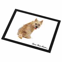 Cairn Terrier Dog 