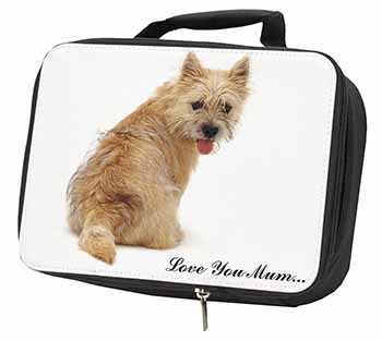 Cairn Terrier Dog 