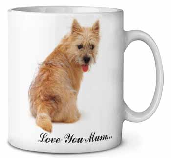 Cairn Terrier Dog 