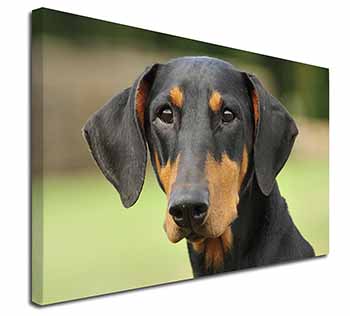 Doberman Pinscher Canvas X-Large 30"x20" Wall Art Print