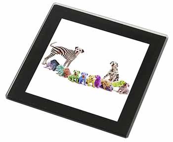 Colourful Dalmatian Dogs Black Rim High Quality Glass Coaster