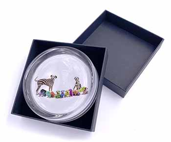 Colourful Dalmatian Dogs Glass Paperweight in Gift Box