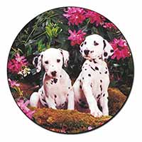 Dalmatian Fridge Magnet Printed Full Colour