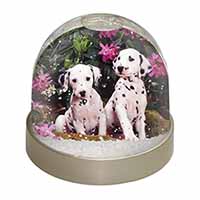 Dalmatian Snow Globe Photo Waterball