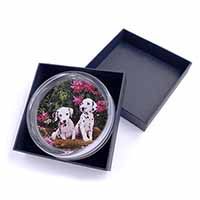 Dalmatian Glass Paperweight in Gift Box