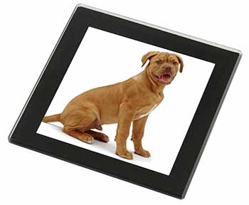 Dogue De Bordeaux Dog Black Rim High Quality Glass Coaster