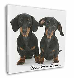 Dachshund Dogs 