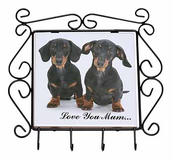 Dachshund Dogs 