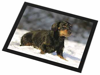 Long-Haired Dachshund Dog Black Rim High Quality Glass Placemat