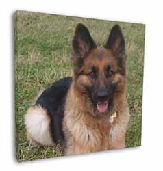 Alsatian/ German Shepherd Dog Square Canvas 12"x12" Wall Art Picture Print