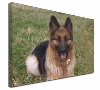 Alsatian/ German Shepherd Dog Canvas X-Large 30"x20" Wall Art Print