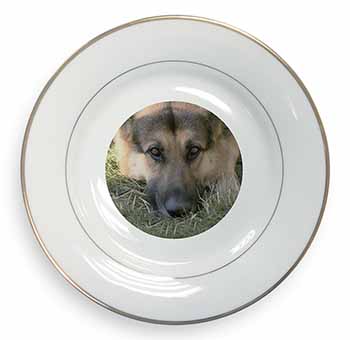 German Shepherd Gold Rim Plate Printed Full Colour in Gift Box