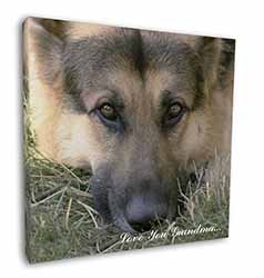 German Shepherd 