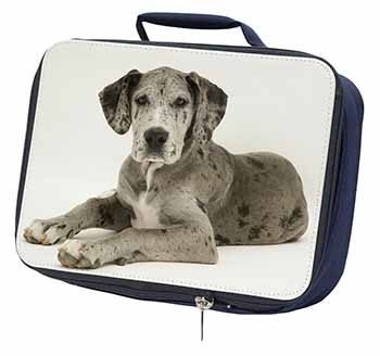 Great Dane Navy Insulated School Lunch Box/Picnic Bag