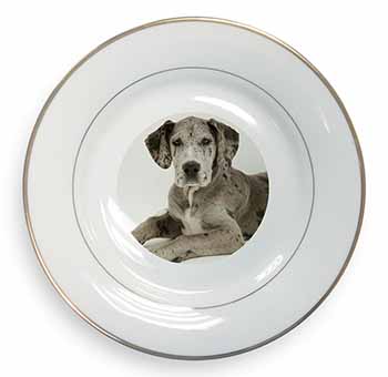 Great Dane Gold Rim Plate Printed Full Colour in Gift Box