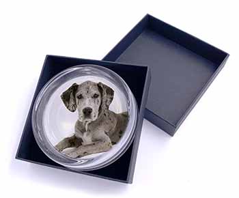 Great Dane Glass Paperweight in Gift Box