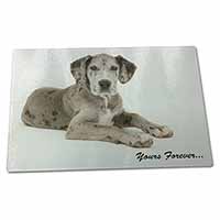 Large Glass Cutting Chopping Board Great Dane Dog 