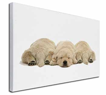 Golden Retriever Puppies Canvas X-Large 30"x20" Wall Art Print