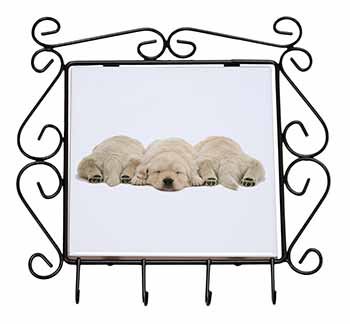 Golden Retriever Puppies Wrought Iron Key Holder Hooks