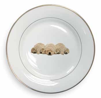 Golden Retriever Puppies Gold Rim Plate Printed Full Colour in Gift Box