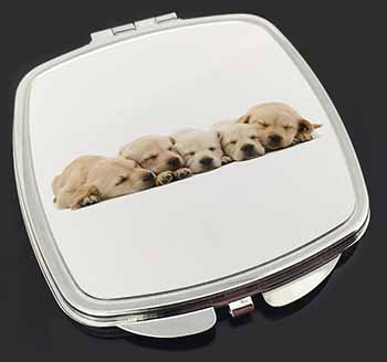 Five Golden Retriever Puppy Dogs Make-Up Compact Mirror