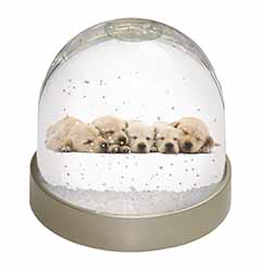 Five Golden Retriever Puppy Dogs Snow Globe Photo Waterball