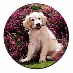 Golden Retriever Puppy Fridge Magnet Printed Full Colour