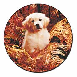 Golden Retriever Puppy Fridge Magnet Printed Full Colour