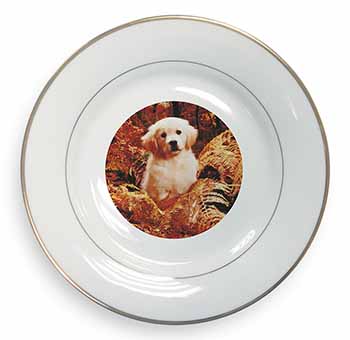 Golden Retriever Puppy Gold Rim Plate Printed Full Colour in Gift Box