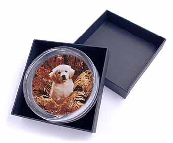 Golden Retriever Puppy Glass Paperweight in Gift Box