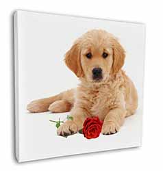 Golden Retriever Dog with Rose Square Canvas 12"x12" Wall Art Picture Print