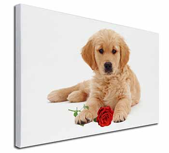 Golden Retriever Dog with Rose Canvas X-Large 30"x20" Wall Art Print