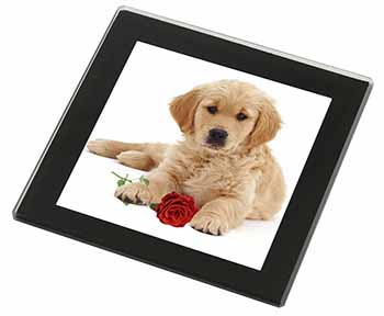 Golden Retriever Dog with Rose Black Rim High Quality Glass Coaster