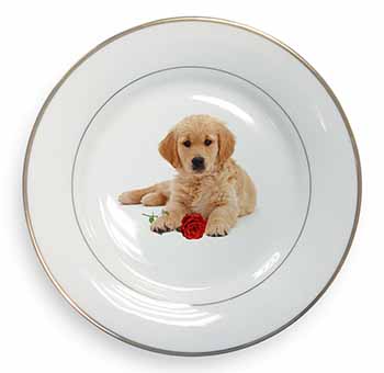 Golden Retriever Dog with Rose Gold Rim Plate Printed Full Colour in Gift Box