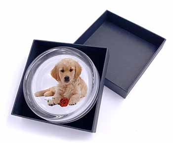 Golden Retriever Dog with Rose Glass Paperweight in Gift Box