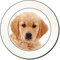 Golden Retriever Puppy Dog Car or Van Permit Holder/Tax Disc Holder