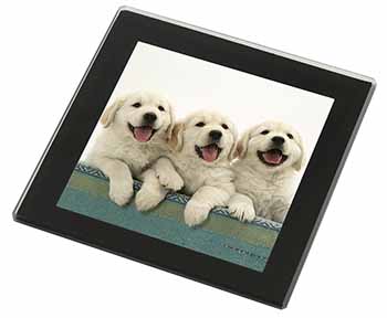 Golden Retriever Puppies Black Rim High Quality Glass Coaster