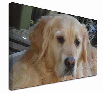 Golden Retriever Dog Canvas X-Large 30"x20" Wall Art Print